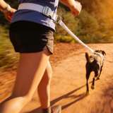 Pilo Hands-Free Trail Leash