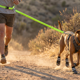 Pilo Hands-Free Trail Leash