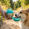 Pilo Water Bottle